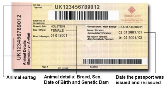 british_cattle_passport
