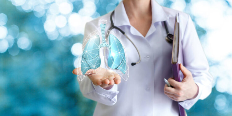 Doctor shows human lungs on blurred background.