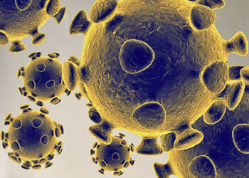 TOPSHOT - This handout illustration image obtained February 27, 2020 courtesy of the US Food and Drug Administration shows the coronavirus,COVID-19. - President Donald Trump has played down fears of a major coronavirus outbreak in the United States, even as infections ricochet around the world, prompting a ban on pilgrims to Saudi Arabia. China is no longer the only breeding ground for the deadly virus as countries fret over possible contagion coming from other hotbeds of infection, including Iran, South Korea and Italy. There are now more daily cases being recorded outside China than inside the country, where the virus first emerged in December, according to the World Health Organization. (Photo by Handout / US Food and Drug Administration / AFP) / RESTRICTED TO EDITORIAL USE - MANDATORY CREDIT "AFP PHOTO /US FOOD AND DRUG ADMINISTRATION/HANDOUT " - NO MARKETING - NO ADVERTISING CAMPAIGNS - DISTRIBUTED AS A SERVICE TO CLIENTS (Photo by HANDOUT/US Food and Drug Administration/AFP via Getty Images)