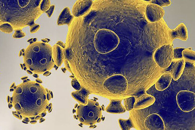 TOPSHOT - This handout illustration image obtained February 27, 2020 courtesy of the US Food and Drug Administration shows the coronavirus,COVID-19. - President Donald Trump has played down fears of a major coronavirus outbreak in the United States, even as infections ricochet around the world, prompting a ban on pilgrims to Saudi Arabia. China is no longer the only breeding ground for the deadly virus as countries fret over possible contagion coming from other hotbeds of infection, including Iran, South Korea and Italy. There are now more daily cases being recorded outside China than inside the country, where the virus first emerged in December, according to the World Health Organization. (Photo by Handout / US Food and Drug Administration / AFP) / RESTRICTED TO EDITORIAL USE - MANDATORY CREDIT "AFP PHOTO /US FOOD AND DRUG ADMINISTRATION/HANDOUT " - NO MARKETING - NO ADVERTISING CAMPAIGNS - DISTRIBUTED AS A SERVICE TO CLIENTS (Photo by HANDOUT/US Food and Drug Administration/AFP via Getty Images)