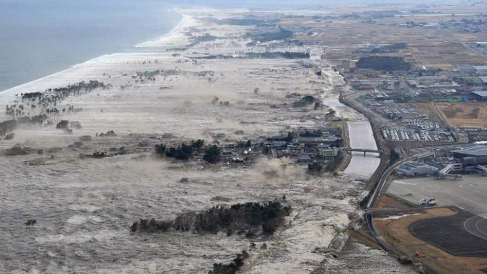 Test results of a woman who went missing in a tsunami 10 years ago