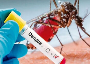 dengue