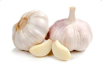 garlic