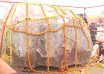 shaligram stones