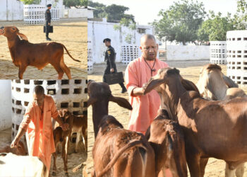 UP CM Yogi