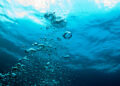 What Is Drowning?