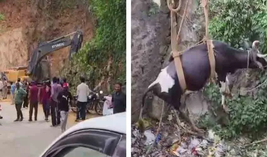 നിയന്ത്രണം വിട്ട് പാഞ്ഞ ലോറി മൂന്ന് വാഹനങ്ങളില്‍ ഇടിച്ച് അപകടം: സംഭവം കുറ്റ്യാടി ചുരത്തില്‍; അപകടത്തില്‍ ഏഴ് പേര്‍ക്ക് പരിക്ക്