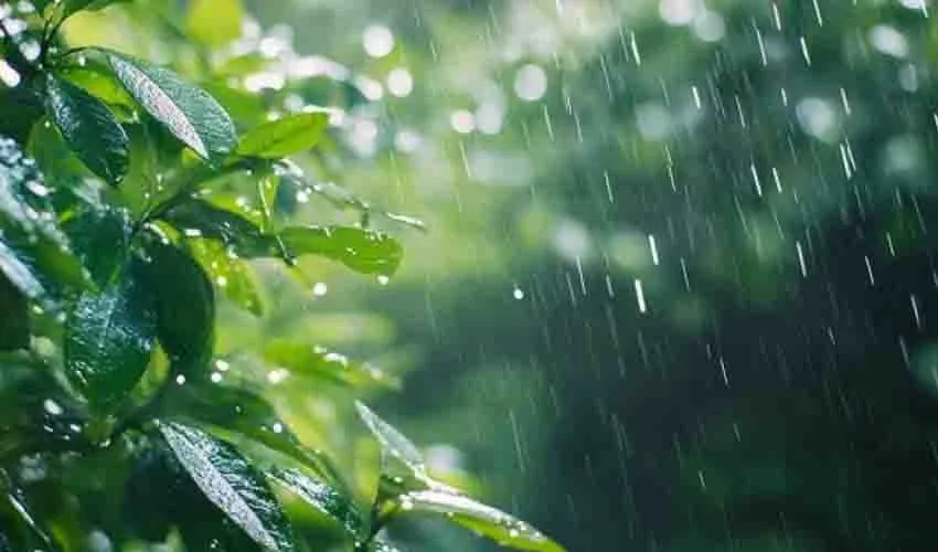 സംസ്ഥാനത്ത് മഴ തുടരും; മൂന്ന് ജില്ലകളില്‍ യെല്ലോ അലേര്‍ട്ട്; ശക്തമായ ഇടിമിന്നിലിനും കാറ്റിനും സാധ്യത; ജാഗ്രതാ നിര്‍ദ്ദേശം