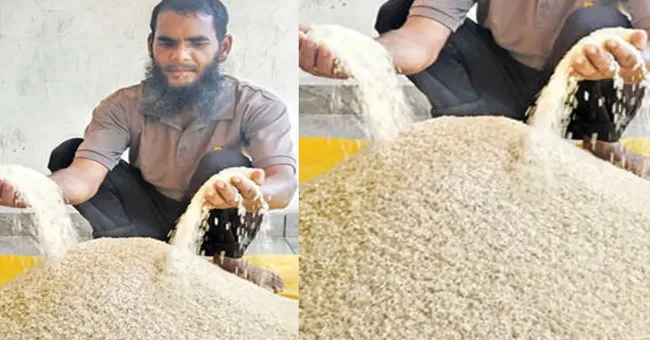 “ഈ പാടം എനിക്ക് കൃഷിചെയ്യാൻ തരുമോ” സന്തോഷത്തോടെ കുഞ്ഞമ്മദ് സമ്മതിച്ചു, അതിഥിത്തൊഴിലാളിയല്ല, അതിഥികർഷകൻ! തരിശുഭൂമിയിൽ അന്നം വിളയിച്ച് ഒരു ബിഹാറി മാതൃക